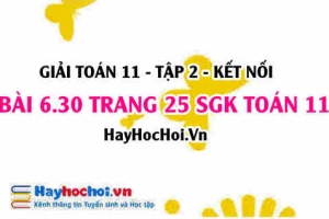 Bài 6.30 trang 25 Toán 11 tập 2 Kết nối tri thức